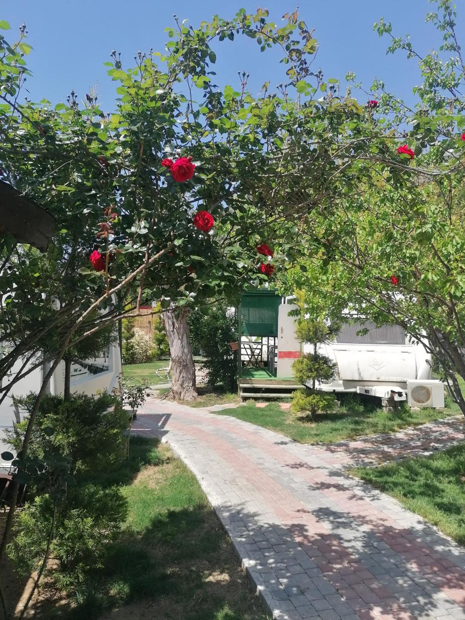 Oba Beach Hotel Oludeniz Exterior photo