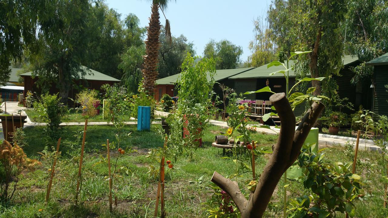 Oba Beach Hotel Oludeniz Exterior photo